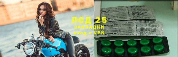 шишки Абаза