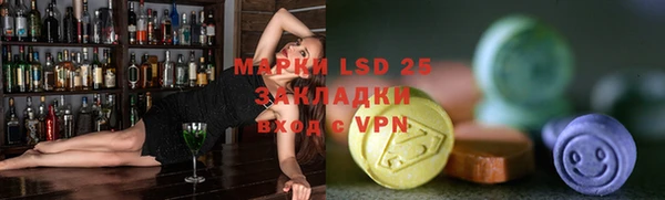 шишки Абаза