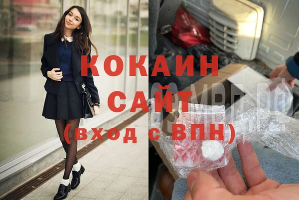 шишки Абаза