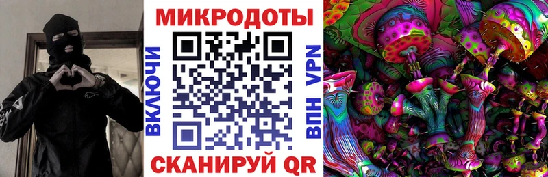Галлюциногенные грибы прущие грибы  Саратов 