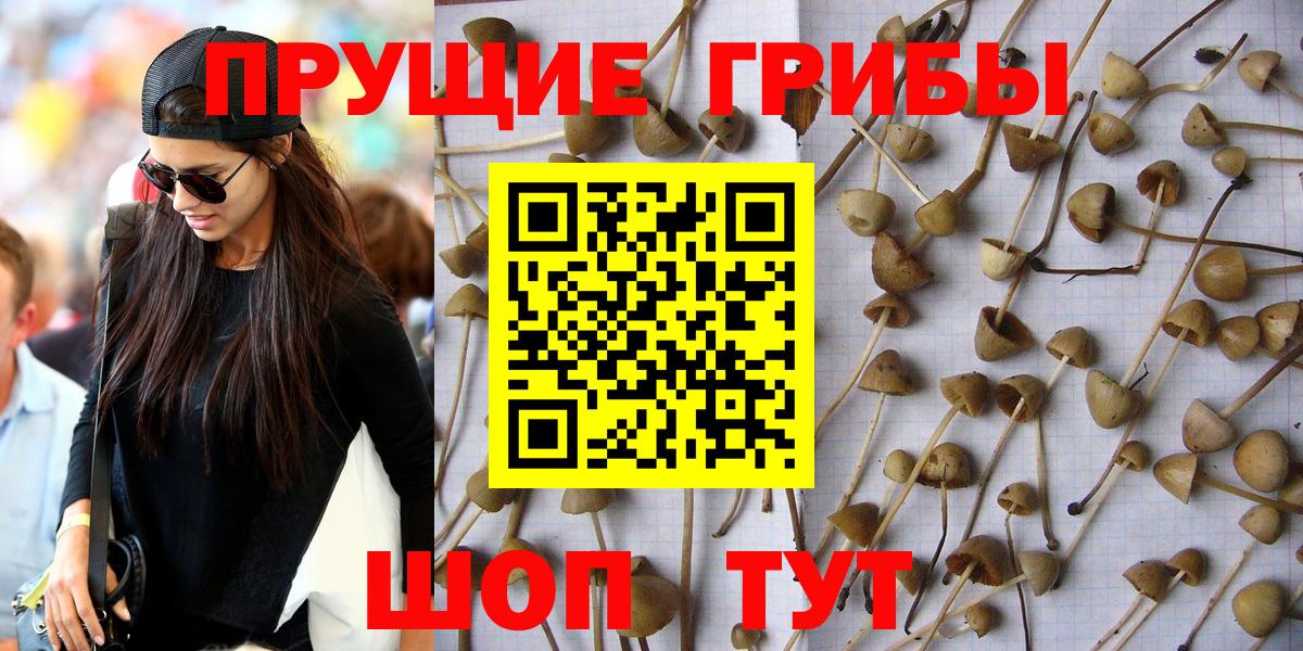 Галлюциногенные грибы ЛСД Саратов