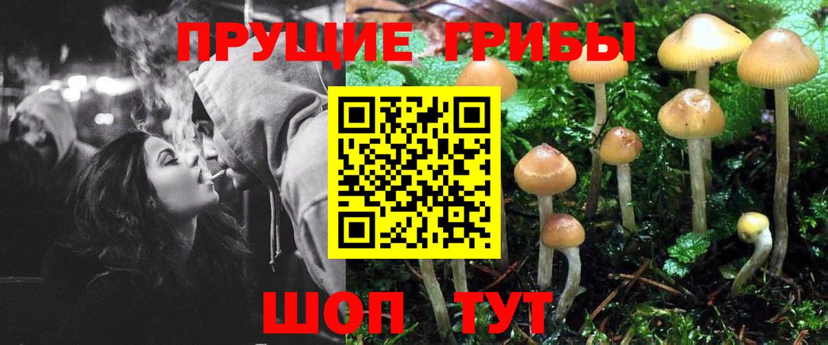Псилоцибиновые грибы GOLDEN TEACHER  Вход с VPN  Псилоцибиновые грибы Cubensis  Саратов 